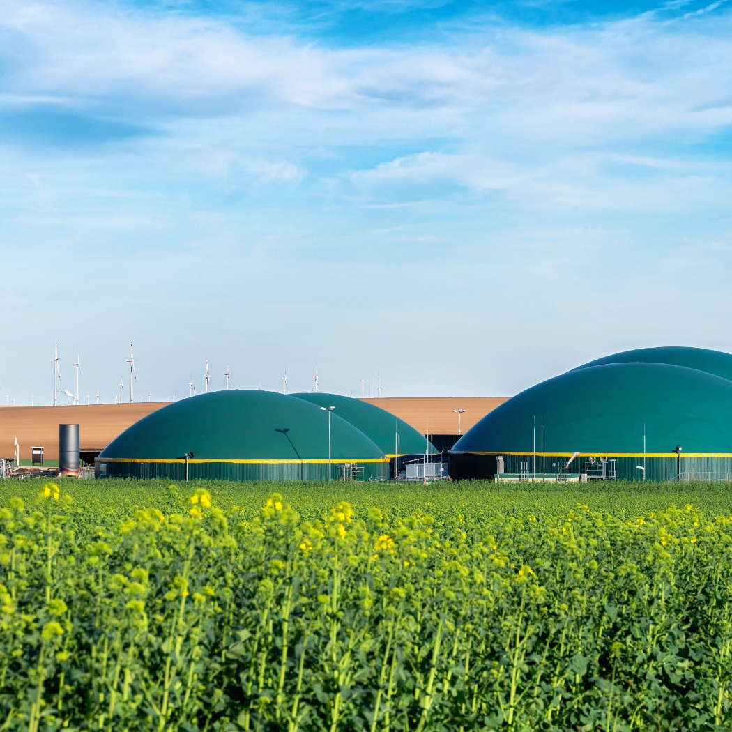 Biomass Anaerobic Digestion image 1